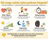 Czy puls 80 jest dobry? Zależy od wieku, wytrenowania, warunków, regeneracji, rodzaju treningu, zdrowia i pomiaru. Tętno jest indywidualne.